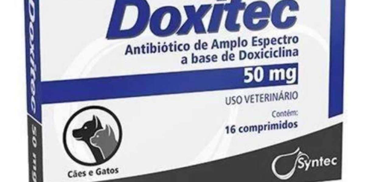 Problemas hepáticos en perros: causas, síntomas y tratamiento