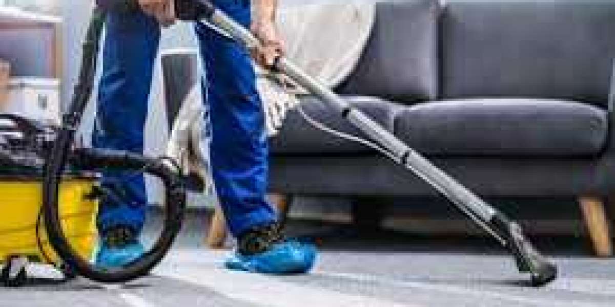 Why Professional Carpet Cleaning Is Essential for Maintaining Home Beauty