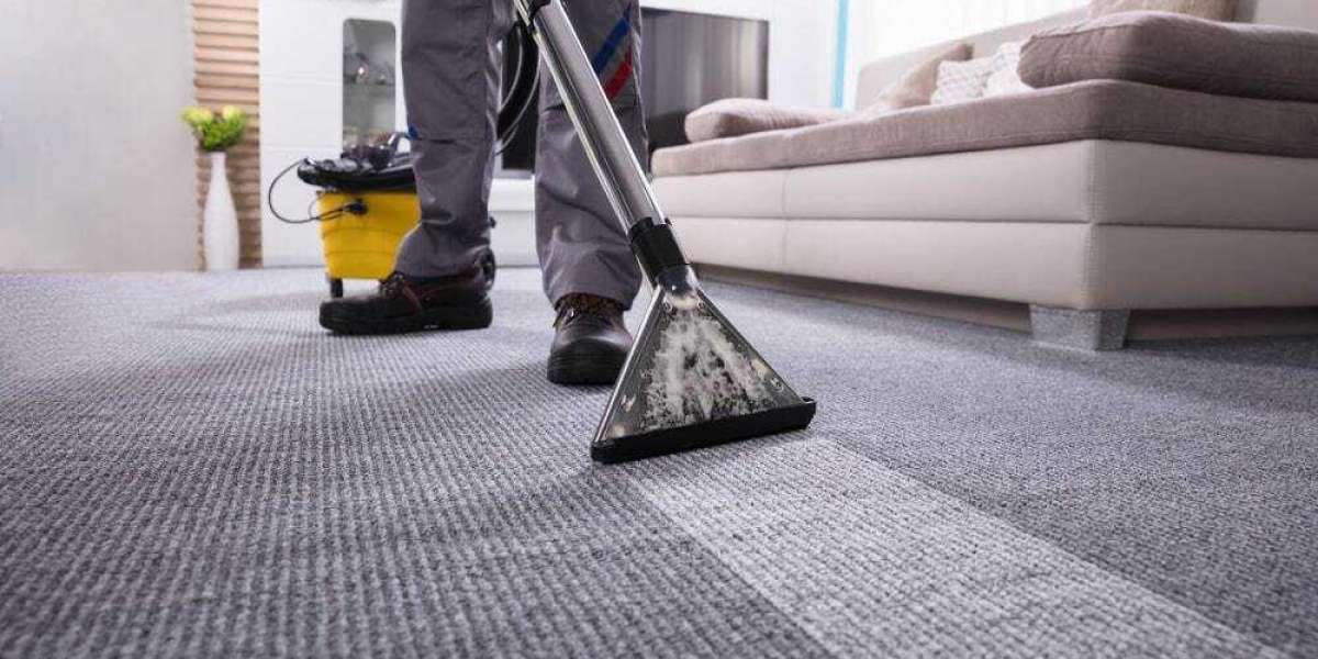 The Link Between Professional Carpet Cleaning and Home Aesthetics