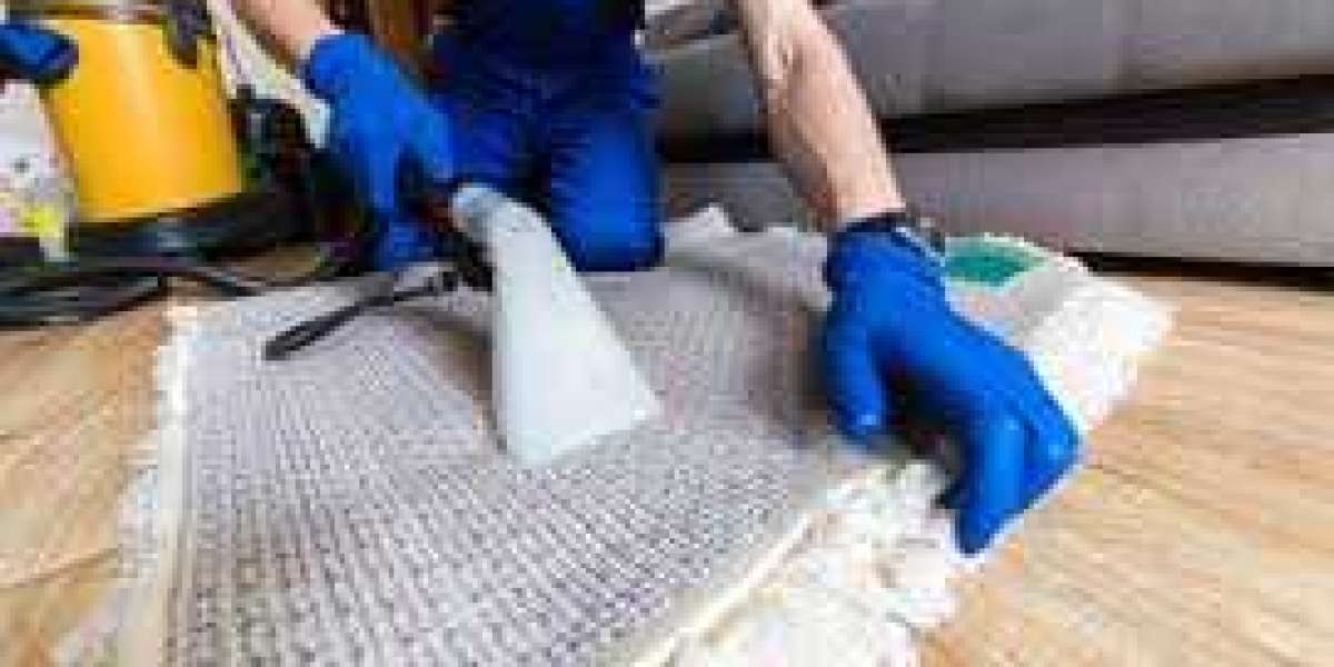 Revamp Your Home’s Aesthetic Appeal with Expert Carpet Cleaning