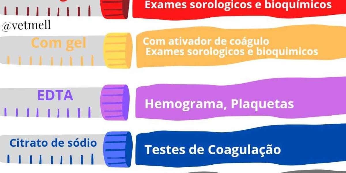 ¿Se le Puede dar Hígado a un Perro? Beneficios y Contraindicaciones