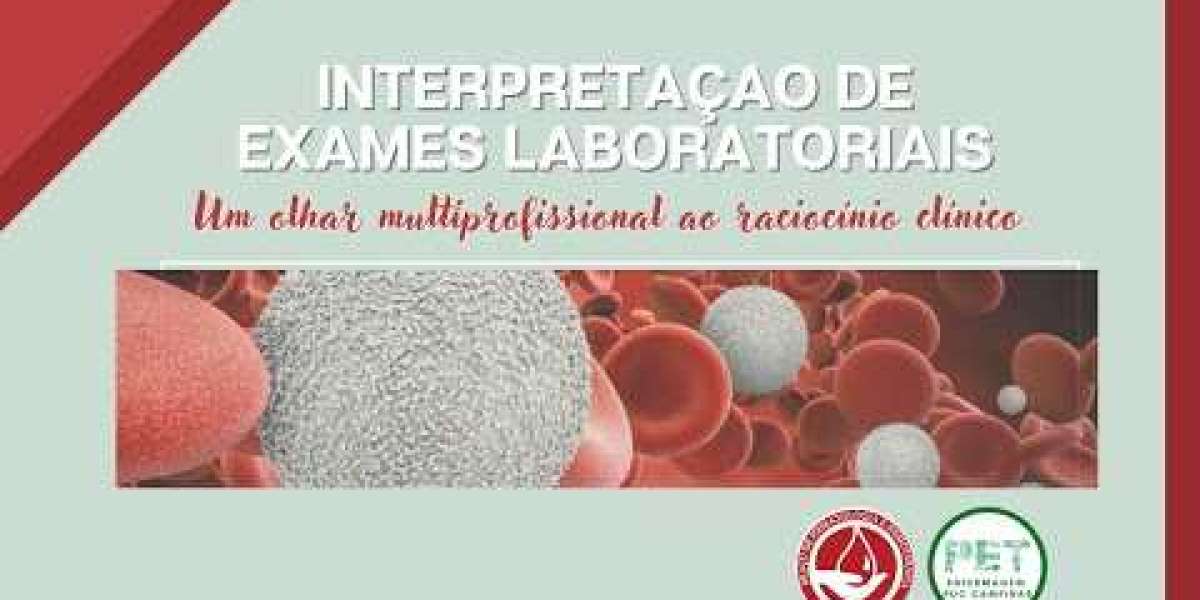 Qual é o Valor do Raio X para seu Cachorro? Entenda os Custos Envolvidos