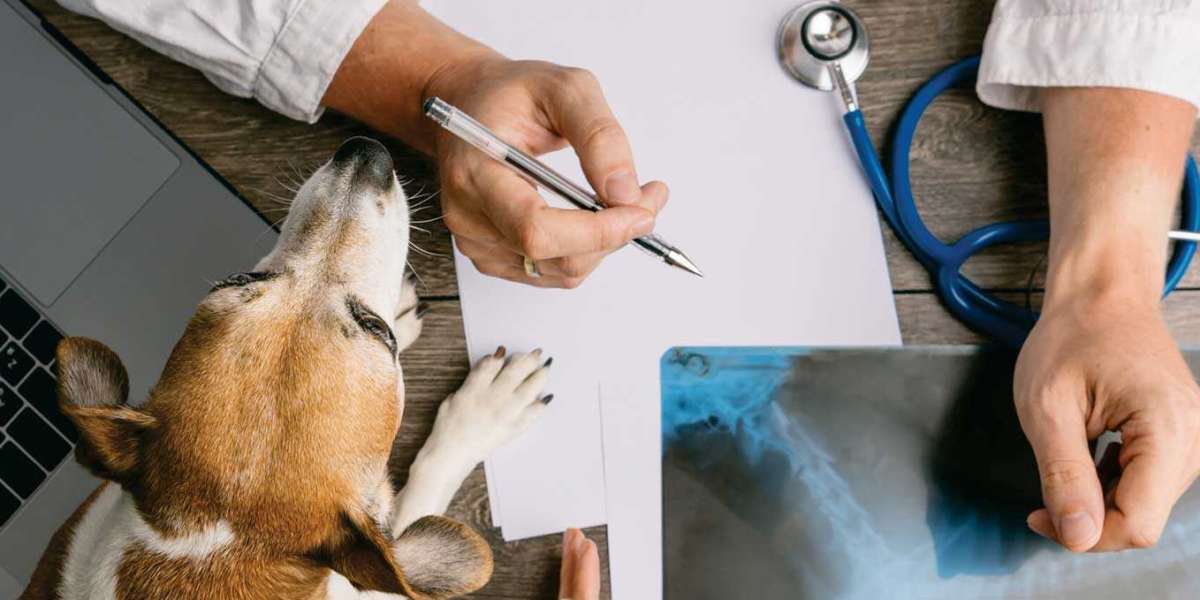 El sector de clínicas veterinarias en España creció en 2019 un 4,8%