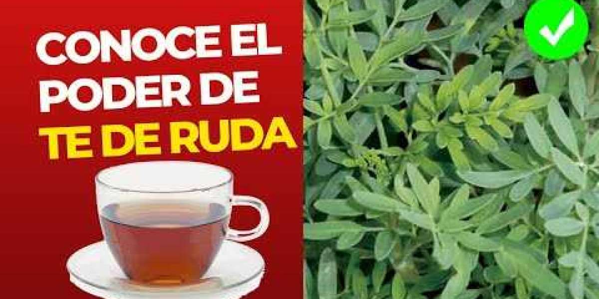 Descubre los Poderes del Té de Ruda: Beneficios para la Salud y el Bienestar