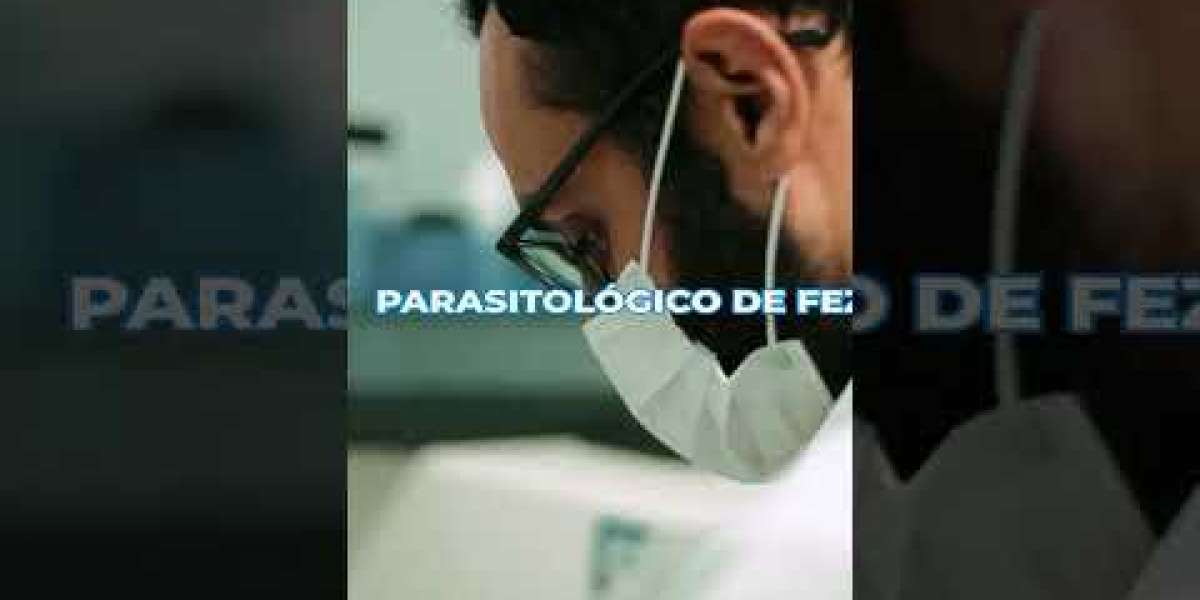 Principios básicos de la radiografía torácica en veterinaria