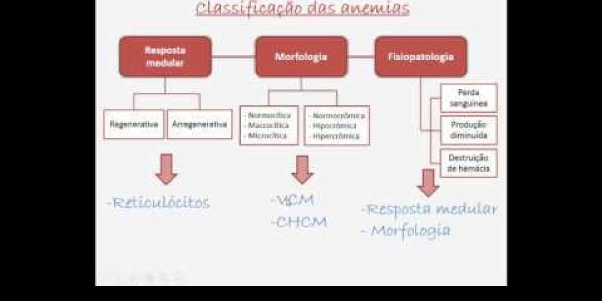 Nutrición del Perro Enfermo del Corazón