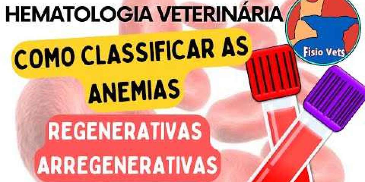 Ecocardiografía en veterinaria