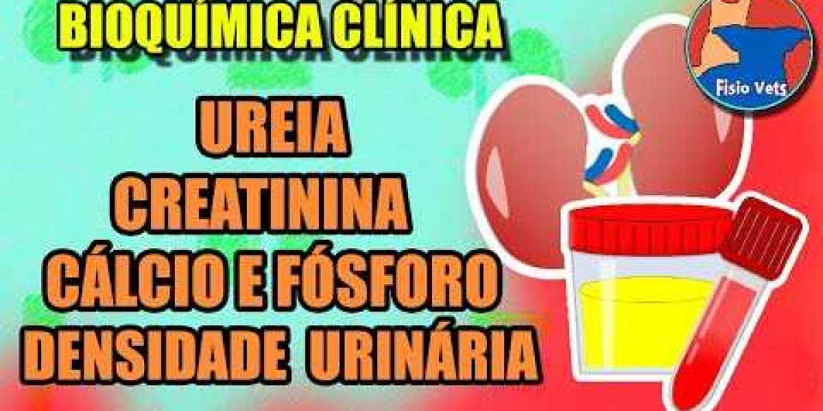 Diagnósticos acertados con rayos X para tu mascota