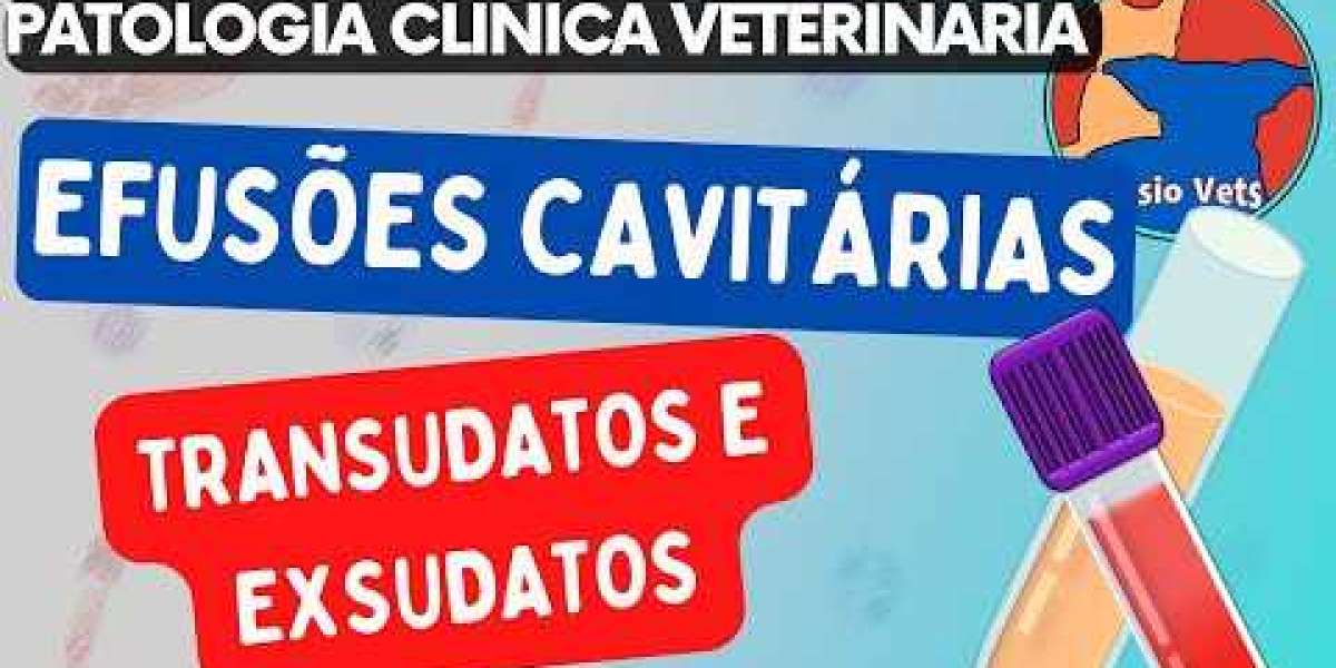 Insuficiencia cardíaca en los perros Cardiopatías