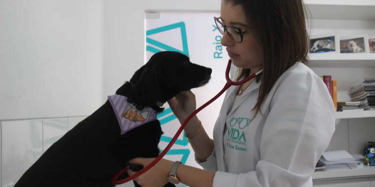 ¿Cómo se hacen las radiografías de cuerpo entero en mascotas?