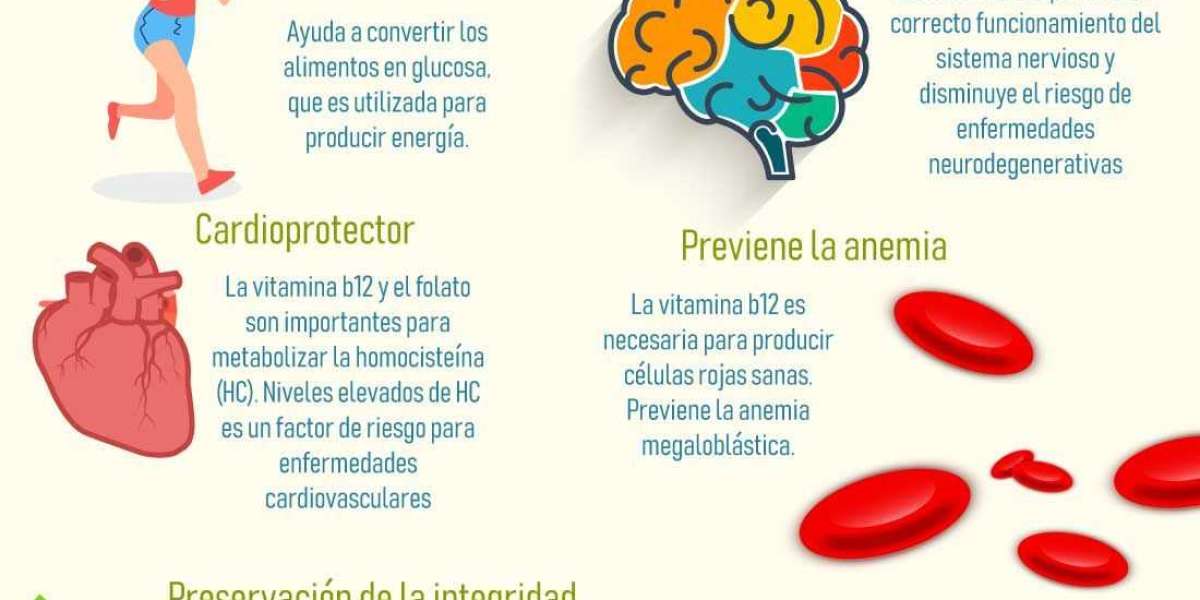 Qué es la ruda y para qué sirve: las propiedades de esta planta medicinal, sus contraindicaciones y cómo prepararla